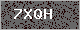 Image Verification is missing, please contact the administrator
